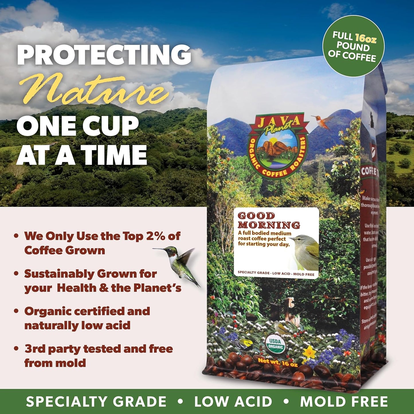 Low Acid Organic Coffee – Whole Bean, Mold-Free & Stomach Friendly by Java Planet, Good Morning Blend Coffee, Medium Roast, Smooth Full Flavored, 1LB Bag