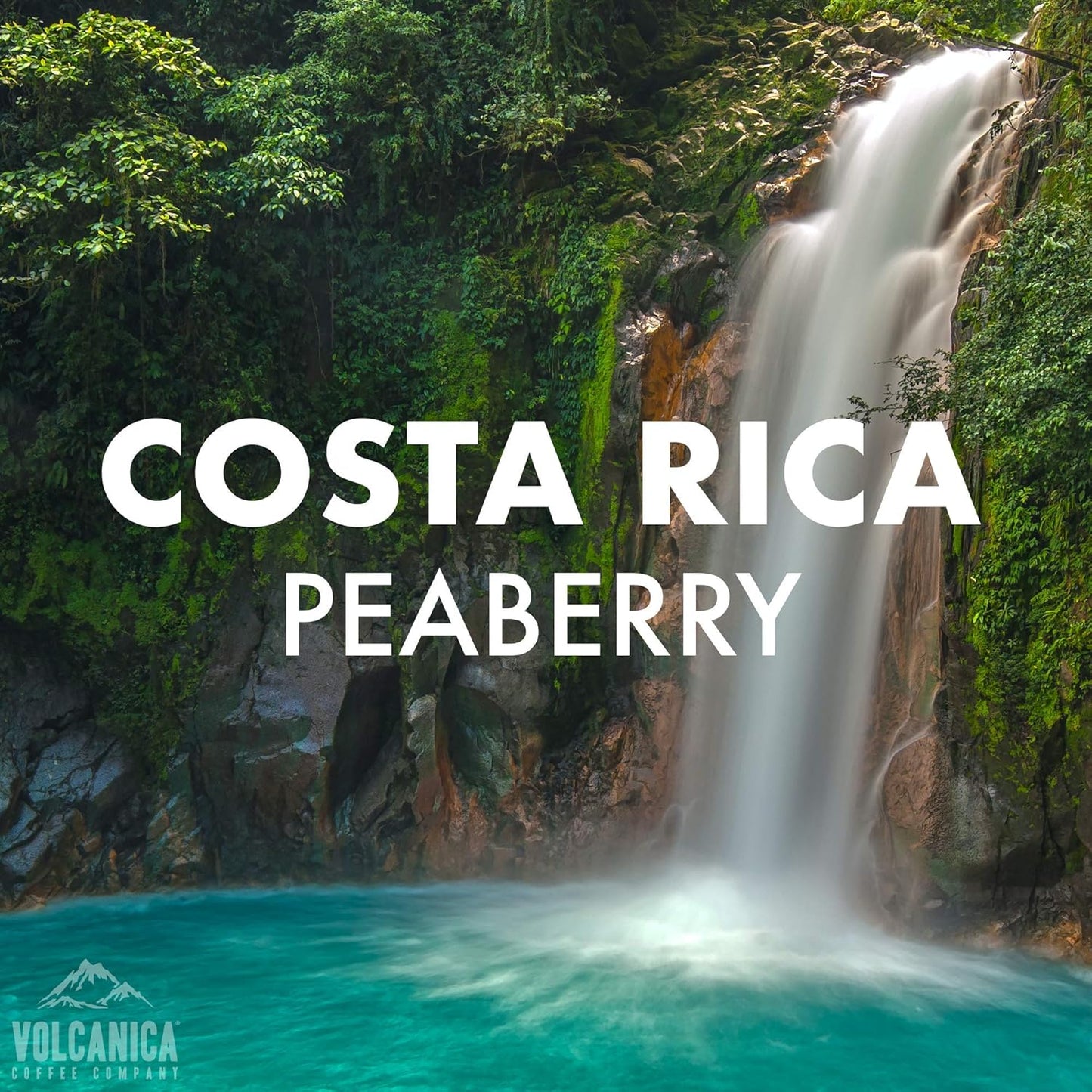 Costa Rica Peaberry Coffee, Ground, Medium Roast, Fresh Roasted, 5 lbs