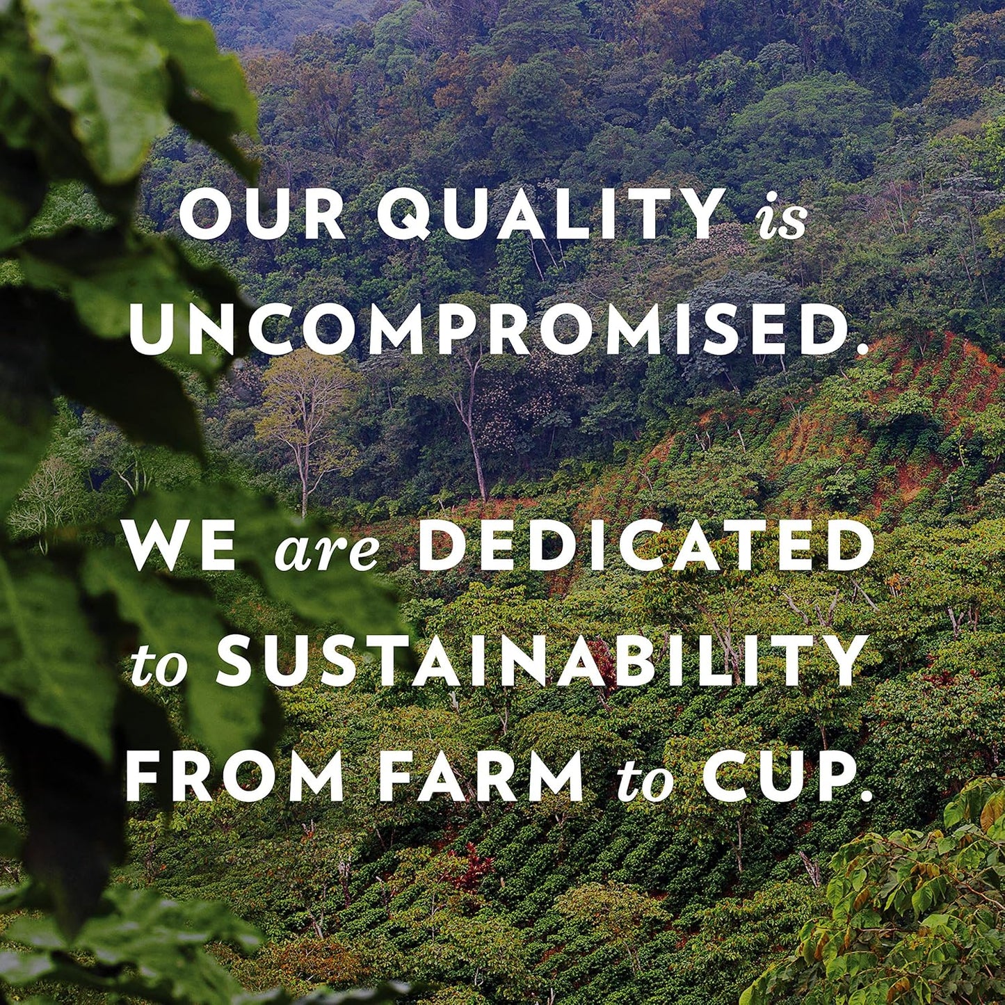 Community Coffee Vanilla Waffle Cone 96 Count Coffee Pods, Ice Cream Flavored, Compatible with Keurig 2.0 K-Cup Brewers, 24 Count (Pack of 4)